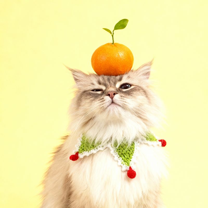 Lazy Sprout style example